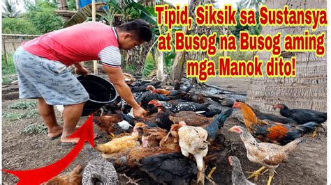 magandang patuka sa manok panabong